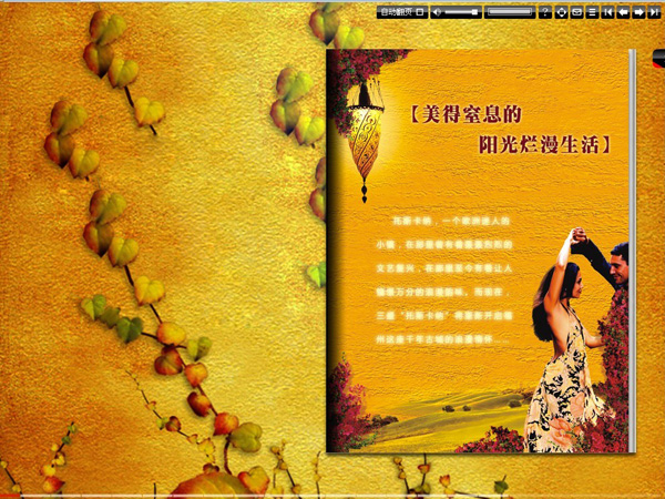 深圳市牧星策劃設計有限公司三盛.托斯卡納—樓書賞析